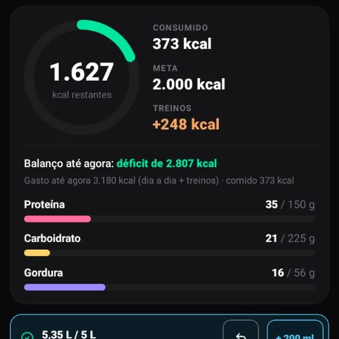 Diário do dia com calorias consumidas, meta, gasto nos treinos e macronutrientes